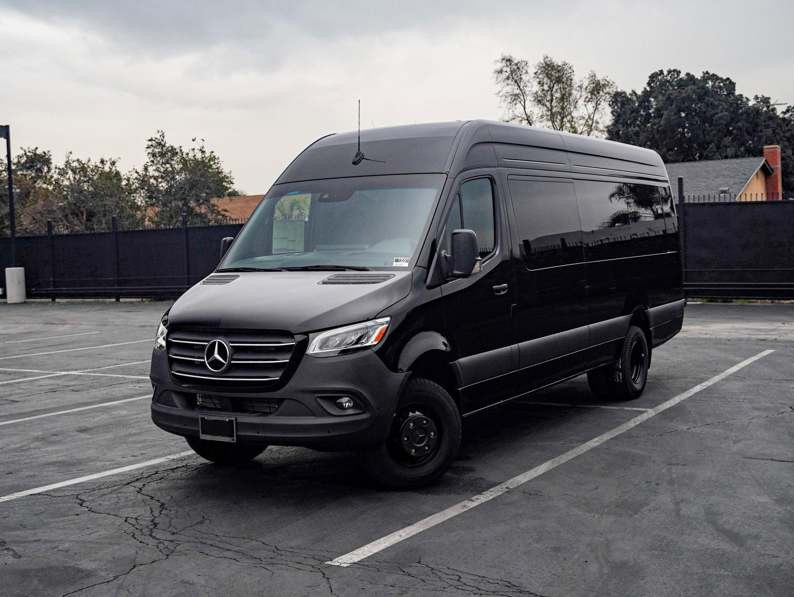 Custom Executive Sprinter Van C002